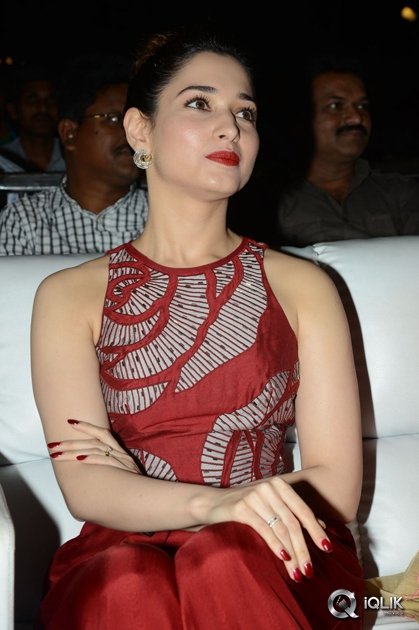 Tamannaah-at-Bengal-Tiger-Movie-Triple-Platinum-Disc-Function